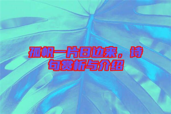 孤帆一片日邊來(lái)，詩(shī)句賞析與介紹