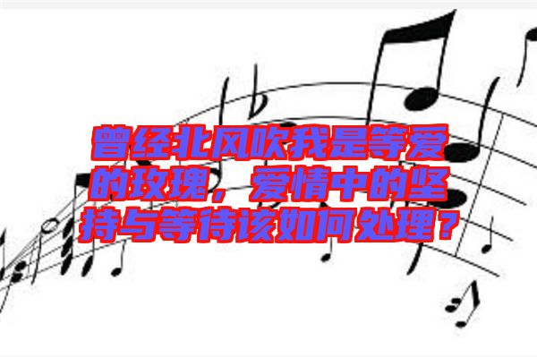 曾經(jīng)北風(fēng)吹我是等愛的玫瑰，愛情中的堅持與等待該如何處理？