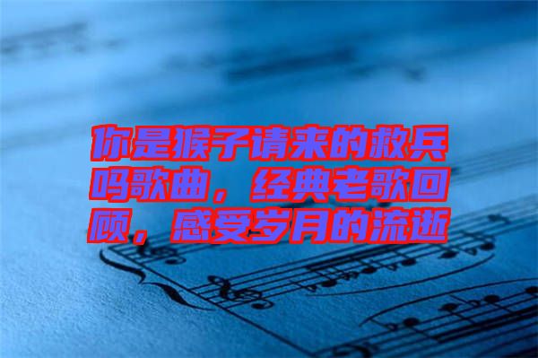 你是猴子請來的救兵嗎歌曲，經(jīng)典老歌回顧，感受歲月的流逝
