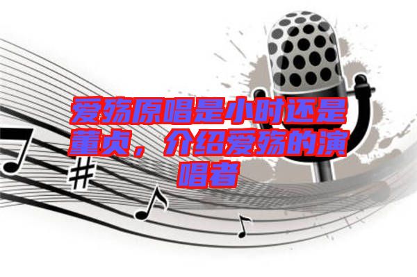愛殤原唱是小時還是董貞，介紹愛殤的演唱者