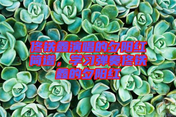 佟鐵鑫演唱的夕陽紅簡譜，學習彈奏佟鐵鑫的夕陽紅