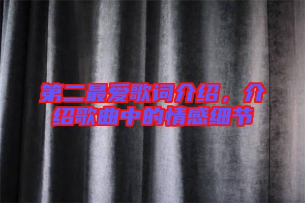 第二最愛歌詞介紹，介紹歌曲中的情感細節(jié)
