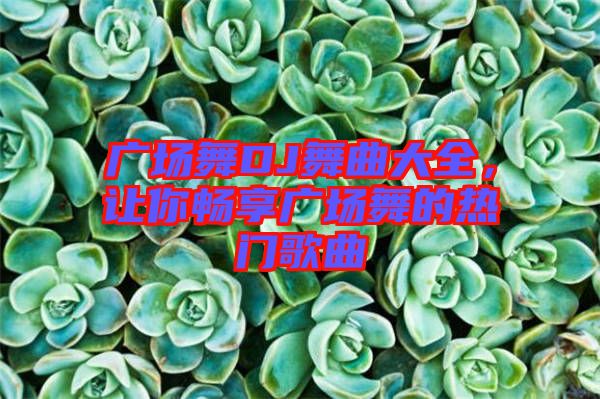 廣場舞DJ舞曲大全，讓你暢享廣場舞的熱門歌曲