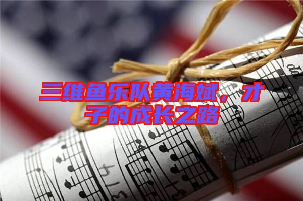 三維魚樂隊(duì)黃海斌，才子的成長之路