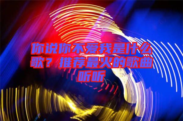 你說你不愛我是什么歌？推薦最火的歌曲聽聽