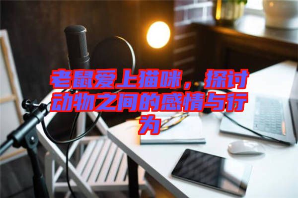 老鼠愛上貓咪，探討動物之間的感情與行為