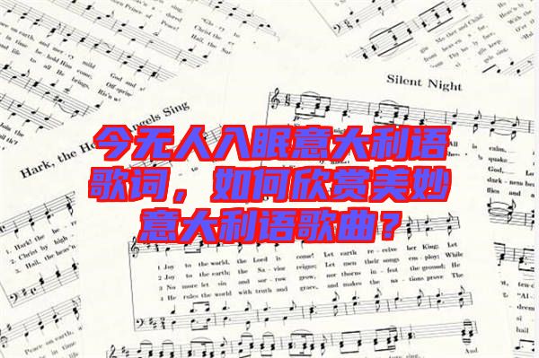 今無人入眠意大利語歌詞，如何欣賞美妙意大利語歌曲？