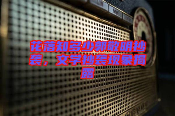 花落知多少郭敬明抄襲，文學抄襲現(xiàn)象揭露