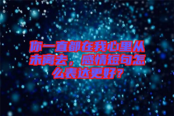 你一直都在我心里從未離去，感情短句怎么表達更好？