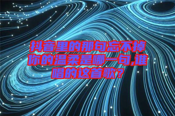 抖音里的那句忘不掉你的溫柔是哪一句,誰唱的這首歌？