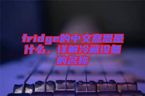 fridge的中文意思是什么，詳解冷藏設(shè)備的名稱