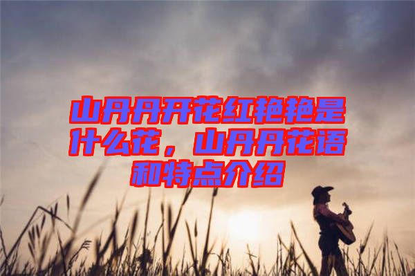 山丹丹開花紅艷艷是什么花，山丹丹花語和特點介紹
