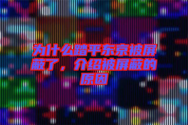 為什么踏平東京被屏蔽了，介紹被屏蔽的原因