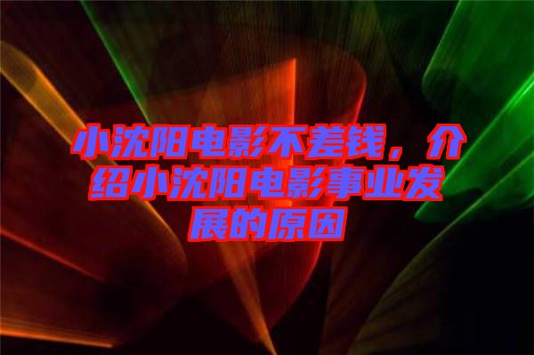 小沈陽電影不差錢，介紹小沈陽電影事業(yè)發(fā)展的原因