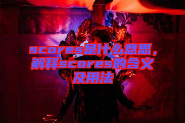 scores是什么意思，解釋scores的含義及用法