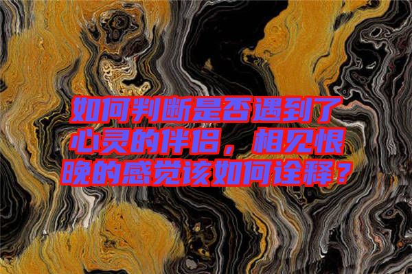 如何判斷是否遇到了心靈的伴侶，相見恨晚的感覺該如何詮釋？