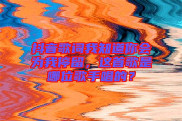 抖音歌詞我知道你會為我停留，這首歌是哪位歌手唱的？