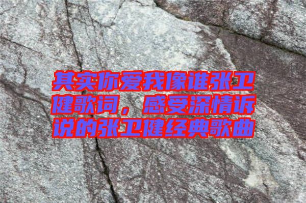 其實(shí)你愛(ài)我像誰(shuí)張衛(wèi)健歌詞，感受深情訴說(shuō)的張衛(wèi)健經(jīng)典歌曲