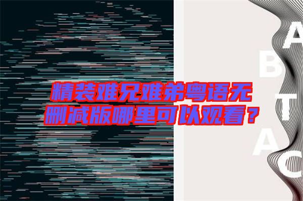 精裝難兄難弟粵語無刪減版哪里可以觀看？