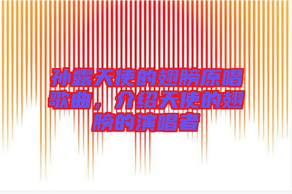 孫露天使的翅膀原唱歌曲，介紹天使的翅膀的演唱者