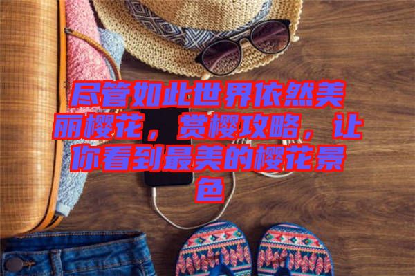 盡管如此世界依然美麗櫻花，賞櫻攻略，讓你看到最美的櫻花景色