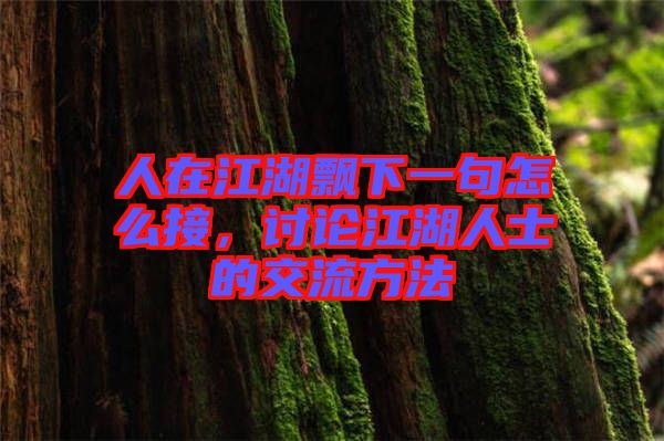 人在江湖飄下一句怎么接，討論江湖人士的交流方法