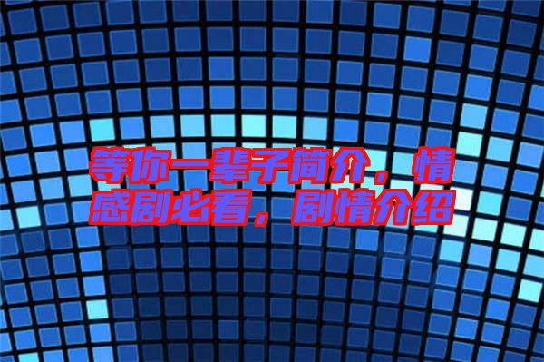 等你一輩子簡介，情感劇必看，劇情介紹