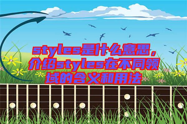 styles是什么意思，介紹styles在不同領(lǐng)域的含義和用法