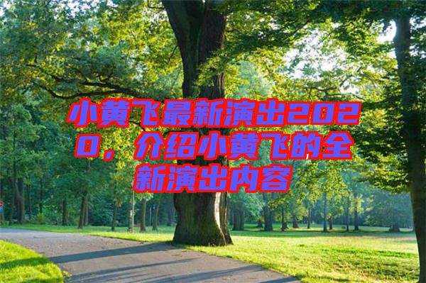 小黃飛最新演出2020，介紹小黃飛的全新演出內(nèi)容