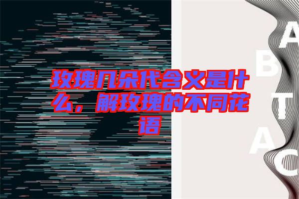 玫瑰幾朵代含義是什么，解玫瑰的不同花語