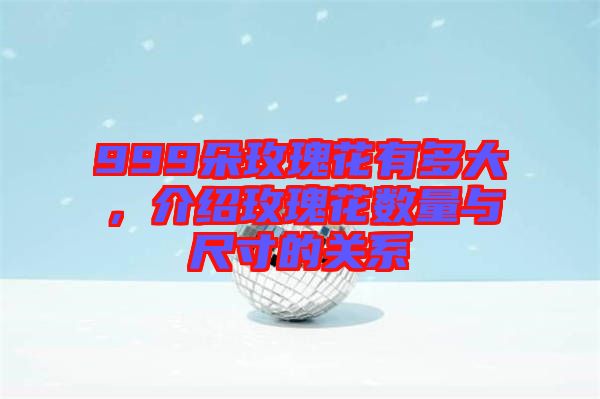 999朵玫瑰花有多大，介紹玫瑰花數(shù)量與尺寸的關(guān)系