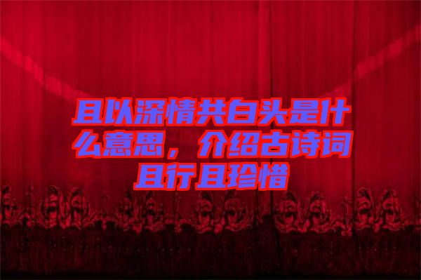 且以深情共白頭是什么意思，介紹古詩(shī)詞且行且珍惜