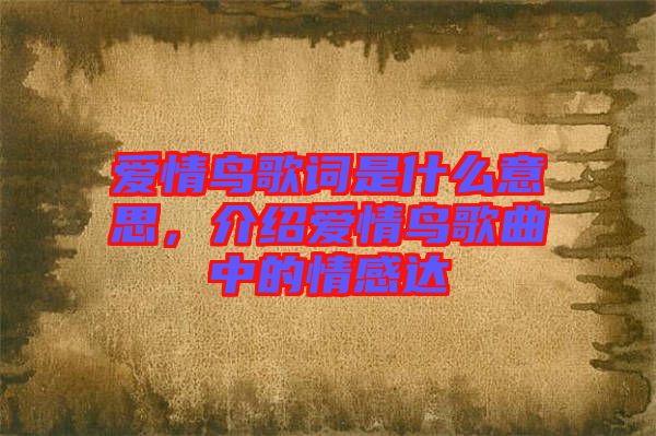 愛情鳥歌詞是什么意思，介紹愛情鳥歌曲中的情感達(dá)