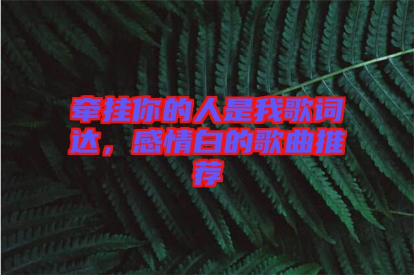 牽掛你的人是我歌詞達，感情白的歌曲推薦