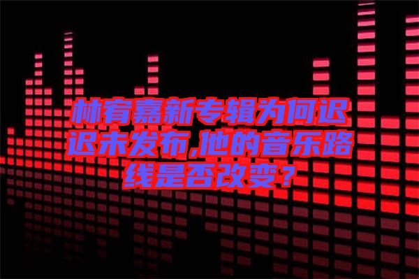 林宥嘉新專輯為何遲遲未發(fā)布,他的音樂(lè)路線是否改變？