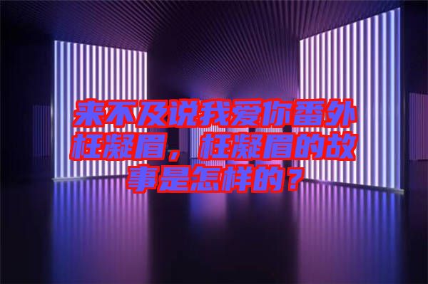 來不及說我愛你番外枉凝眉，枉凝眉的故事是怎樣的？