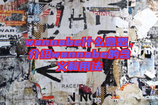 wannabe什么意思，介紹wannabe的含義和用法