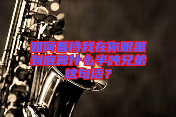 如何看待我在你眼里到底算什么半噸兄弟這句話？