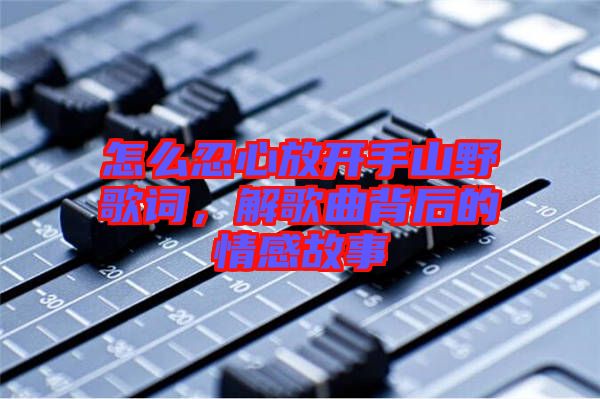 怎么忍心放開手山野歌詞，解歌曲背后的情感故事