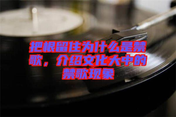 把根留住為什么是禁歌，介紹文化大中的禁歌現(xiàn)象