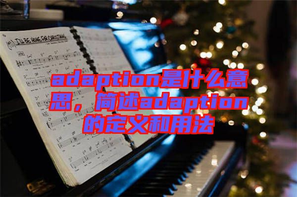 adaption是什么意思，簡(jiǎn)述adaption的定義和用法