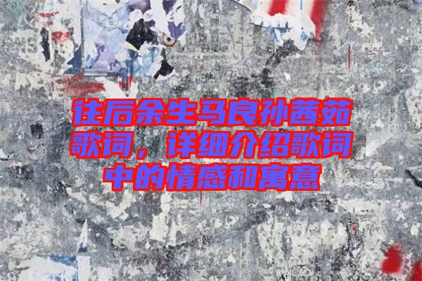往后余生馬良孫茜茹歌詞，詳細(xì)介紹歌詞中的情感和寓意