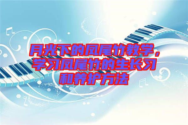 月光下的鳳尾竹教學(xué)，學(xué)習(xí)鳳尾竹的生長(zhǎng)習(xí)和養(yǎng)護(hù)方法
