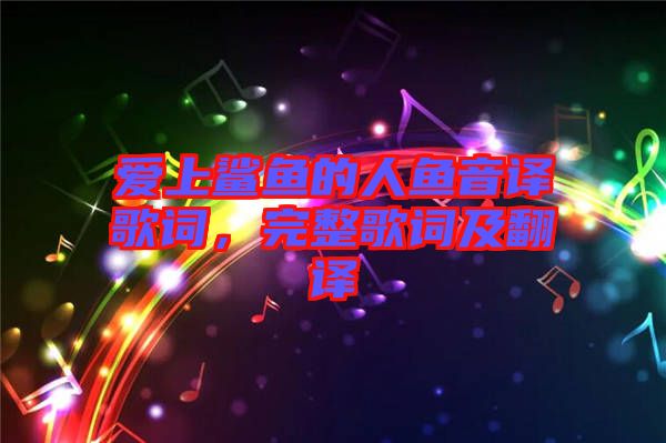 愛上鯊魚的人魚音譯歌詞，完整歌詞及翻譯