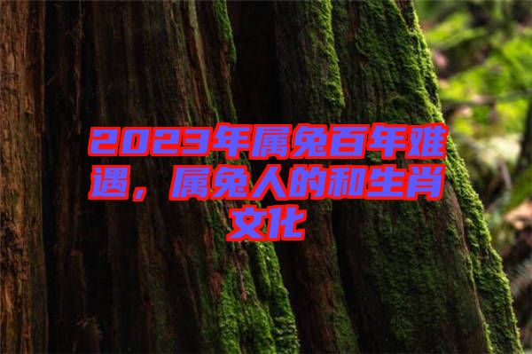 2023年屬兔百年難遇，屬兔人的和生肖文化