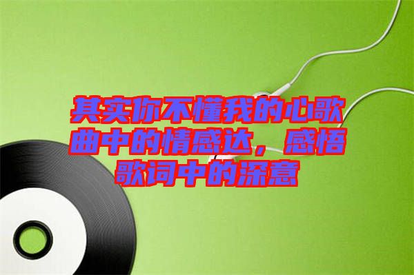 其實(shí)你不懂我的心歌曲中的情感達(dá)，感悟歌詞中的深意