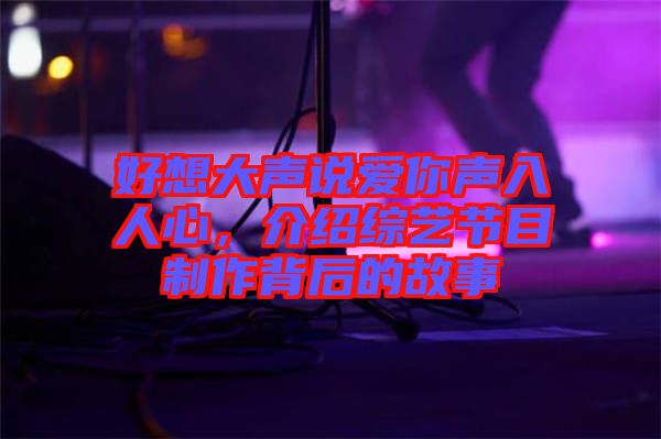 好想大聲說愛你聲入人心，介紹綜藝節(jié)目制作背后的故事