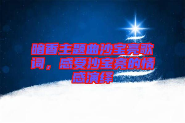 暗香主題曲沙寶亮歌詞，感受沙寶亮的情感演繹