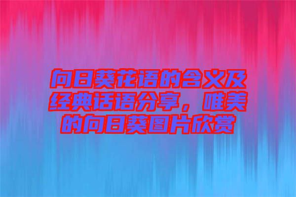 向日葵花語的含義及經(jīng)典話語分享，唯美的向日葵圖片欣賞
