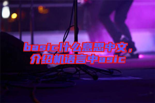 basic什么意思中文，介紹機(jī)語言中asic